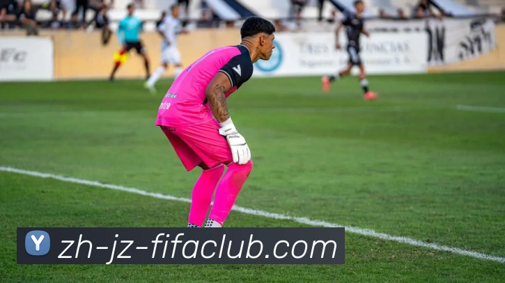 世界杯买球服务体系