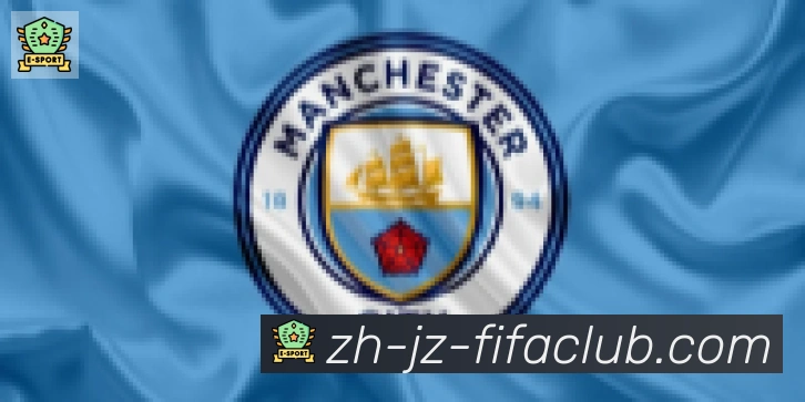 世界杯买球合作伙伴